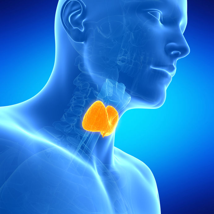 Thyroid Dysfunction